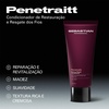 image:imageSebastian Professional Penetraitt Conditioner  Strengthening amp Repair67 Fl Oz Pack of 1